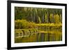 Autumn reflections, Aspen Area, Deschutes National Forest, Oregon, USA-Michel Hersen-Framed Photographic Print
