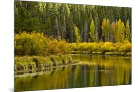 Autumn reflections, Aspen Area, Deschutes National Forest, Oregon, USA-Michel Hersen-Mounted Photographic Print