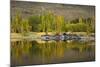 Autumn Reflections at Butchers Dam, Near Alexandra, Central Otago, South Island, New Zealand-David Wall-Mounted Photographic Print