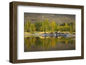 Autumn Reflections at Butchers Dam, Near Alexandra, Central Otago, South Island, New Zealand-David Wall-Framed Photographic Print