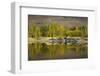 Autumn Reflections at Butchers Dam, Near Alexandra, Central Otago, South Island, New Zealand-David Wall-Framed Photographic Print