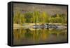 Autumn Reflections at Butchers Dam, Near Alexandra, Central Otago, South Island, New Zealand-David Wall-Framed Stretched Canvas