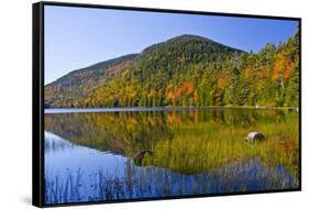 Autumn Reflections, Bubble Pond, Acadia National Park, Maine, Usa-Michel Hersen-Framed Stretched Canvas