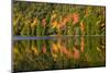 Autumn Reflections, Bubble Pond, Acadia National Park, Maine, Usa-Michel Hersen-Mounted Photographic Print