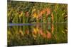 Autumn Reflections, Bubble Pond, Acadia National Park, Maine, Usa-Michel Hersen-Mounted Photographic Print