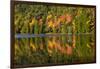 Autumn Reflections, Bubble Pond, Acadia National Park, Maine, Usa-Michel Hersen-Framed Photographic Print