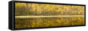 Autumn Reflections, Cairngorms National Park, Highlands, Scotland, UK-Nadia Isakova-Framed Stretched Canvas