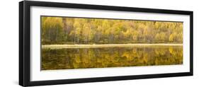 Autumn Reflections, Cairngorms National Park, Highlands, Scotland, UK-Nadia Isakova-Framed Photographic Print