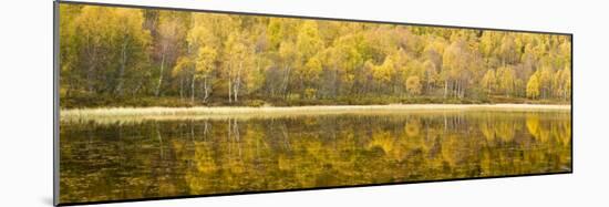 Autumn Reflections, Cairngorms National Park, Highlands, Scotland, UK-Nadia Isakova-Mounted Photographic Print