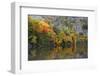 Autumn, Reflections, Echo Lake, Acadia National Park, Maine, Usa-Michel Hersen-Framed Photographic Print