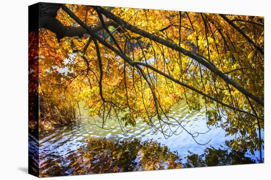 Autumn Reflections II-Alan Hausenflock-Stretched Canvas
