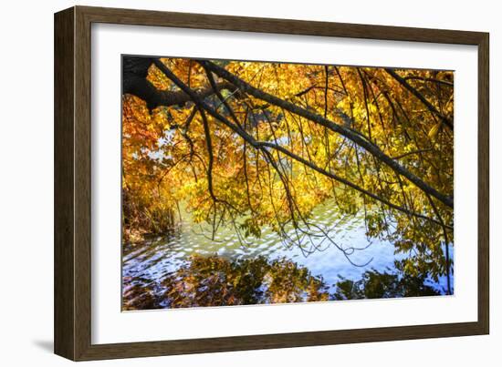 Autumn Reflections II-Alan Hausenflock-Framed Photographic Print