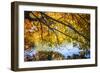 Autumn Reflections II-Alan Hausenflock-Framed Photographic Print