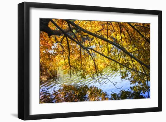 Autumn Reflections II-Alan Hausenflock-Framed Photographic Print