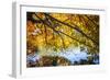 Autumn Reflections II-Alan Hausenflock-Framed Photographic Print