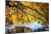 Autumn Reflections II-Alan Hausenflock-Mounted Photographic Print