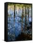 Autumn Reflections in Creek, Great Smoky Mountains National Park, North Carolina, USA-Jerry Ginsberg-Framed Stretched Canvas