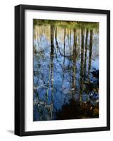 Autumn Reflections in Creek, Great Smoky Mountains National Park, North Carolina, USA-Jerry Ginsberg-Framed Photographic Print