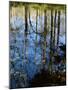 Autumn Reflections in Creek, Great Smoky Mountains National Park, North Carolina, USA-Jerry Ginsberg-Mounted Photographic Print