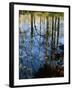 Autumn Reflections in Creek, Great Smoky Mountains National Park, North Carolina, USA-Jerry Ginsberg-Framed Photographic Print
