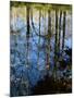 Autumn Reflections in Creek, Great Smoky Mountains National Park, North Carolina, USA-Jerry Ginsberg-Mounted Photographic Print