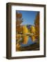 Autumn reflections in Kellands Pond, near Twizel, South Canterbury, South Island, New Zealand-David Wall-Framed Photographic Print