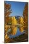 Autumn reflections in Kellands Pond, near Twizel, South Canterbury, South Island, New Zealand-David Wall-Mounted Photographic Print