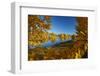 Autumn reflections in Kellands Pond, South Canterbury, South Island, New Zealand-David Wall-Framed Photographic Print