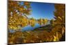 Autumn reflections in Kellands Pond, South Canterbury, South Island, New Zealand-David Wall-Mounted Photographic Print