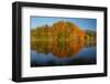 Autumn reflections in Kellands Pond, South Canterbury, South Island, New Zealand-David Wall-Framed Photographic Print