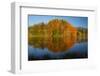 Autumn reflections in Kellands Pond, South Canterbury, South Island, New Zealand-David Wall-Framed Photographic Print