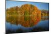 Autumn reflections in Kellands Pond, South Canterbury, South Island, New Zealand-David Wall-Mounted Photographic Print