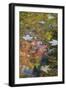 Autumn Reflections on Hidden Lake, Delaware Water Gap National Recreation Area, Pennsylvania-Judith Zimmerman-Framed Photographic Print