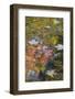 Autumn Reflections on Hidden Lake, Delaware Water Gap National Recreation Area, Pennsylvania-Judith Zimmerman-Framed Photographic Print