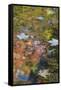 Autumn Reflections on Hidden Lake, Delaware Water Gap National Recreation Area, Pennsylvania-Judith Zimmerman-Framed Stretched Canvas