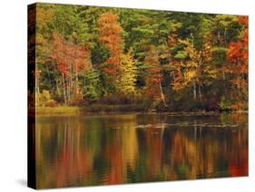 Autumn Reflections, Trickey Pond, Naples, Maine, USA-Michel Hersen-Stretched Canvas