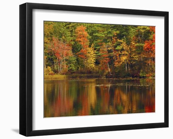 Autumn Reflections, Trickey Pond, Naples, Maine, USA-Michel Hersen-Framed Premium Photographic Print