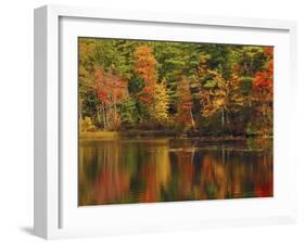 Autumn Reflections, Trickey Pond, Naples, Maine, USA-Michel Hersen-Framed Premium Photographic Print