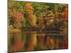 Autumn Reflections, Trickey Pond, Naples, Maine, USA-Michel Hersen-Mounted Premium Photographic Print