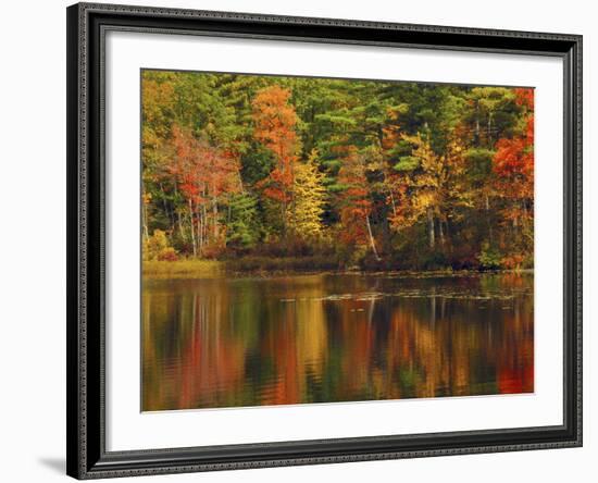 Autumn Reflections, Trickey Pond, Naples, Maine, USA-Michel Hersen-Framed Photographic Print