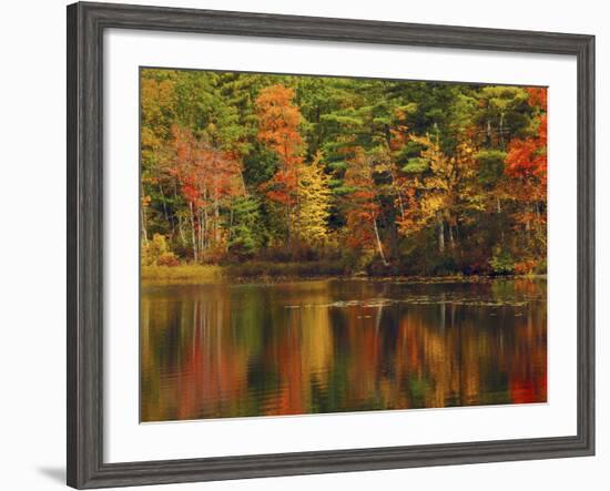 Autumn Reflections, Trickey Pond, Naples, Maine, USA-Michel Hersen-Framed Photographic Print