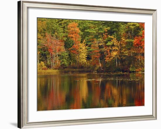 Autumn Reflections, Trickey Pond, Naples, Maine, USA-Michel Hersen-Framed Photographic Print