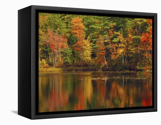 Autumn Reflections, Trickey Pond, Naples, Maine, USA-Michel Hersen-Framed Stretched Canvas
