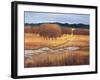 Autumn Reflections-Lynn Welker-Framed Giclee Print