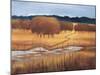 Autumn Reflections-Lynn Welker-Mounted Giclee Print