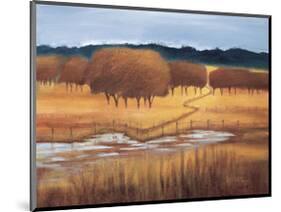 Autumn Reflections-Lynn Welker-Mounted Giclee Print