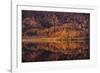 Autumn Reflections-Staffan Widstrand-Framed Giclee Print