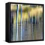 Autumn Reflections-Doug Chinnery-Framed Stretched Canvas