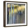 Autumn Reflections-Doug Chinnery-Framed Photographic Print