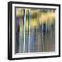 Autumn Reflections-Doug Chinnery-Framed Photographic Print